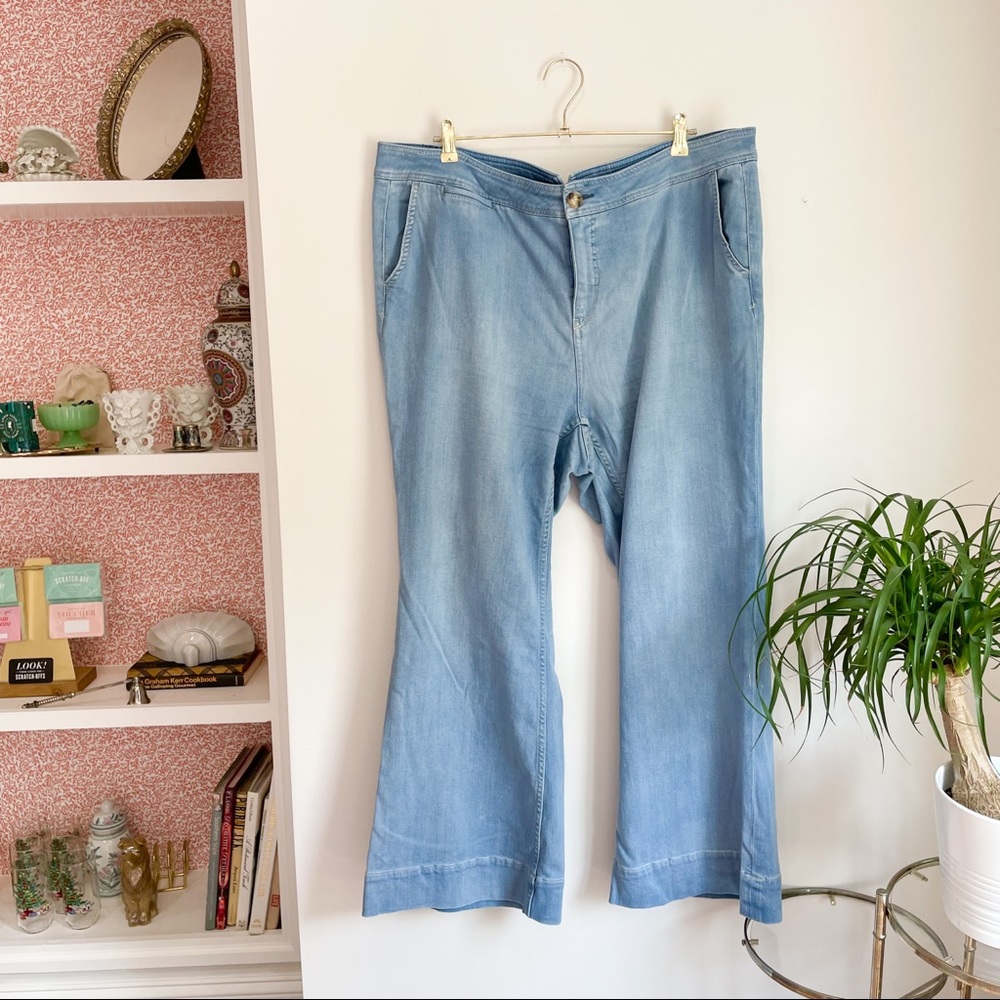 Pilcro • Wide Leg Denim • 20W